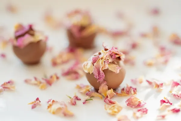 Bet9 Casino App Android/iOS